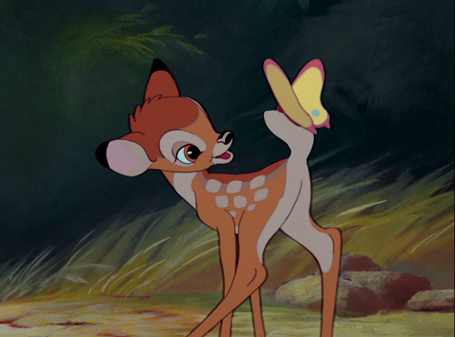 bambi-fi.jpg