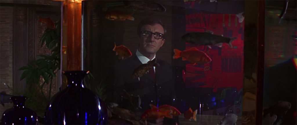 Somehow, when I think of "The Look of Love," I don't think of Peter Sellers staring at fish.